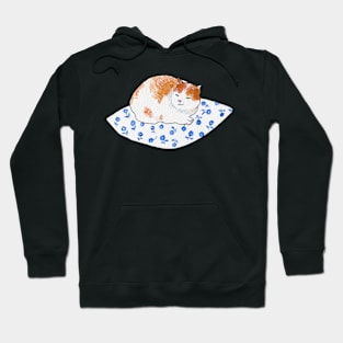 Sarcastic cat on the Pillow Hoodie